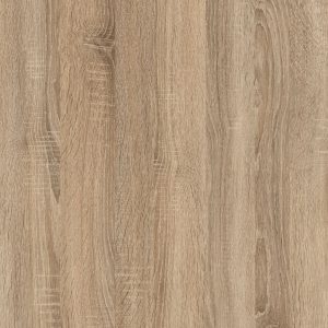Cambrian Oak